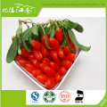 New arrival factory supply price sun dried wholesale Chinese medlar